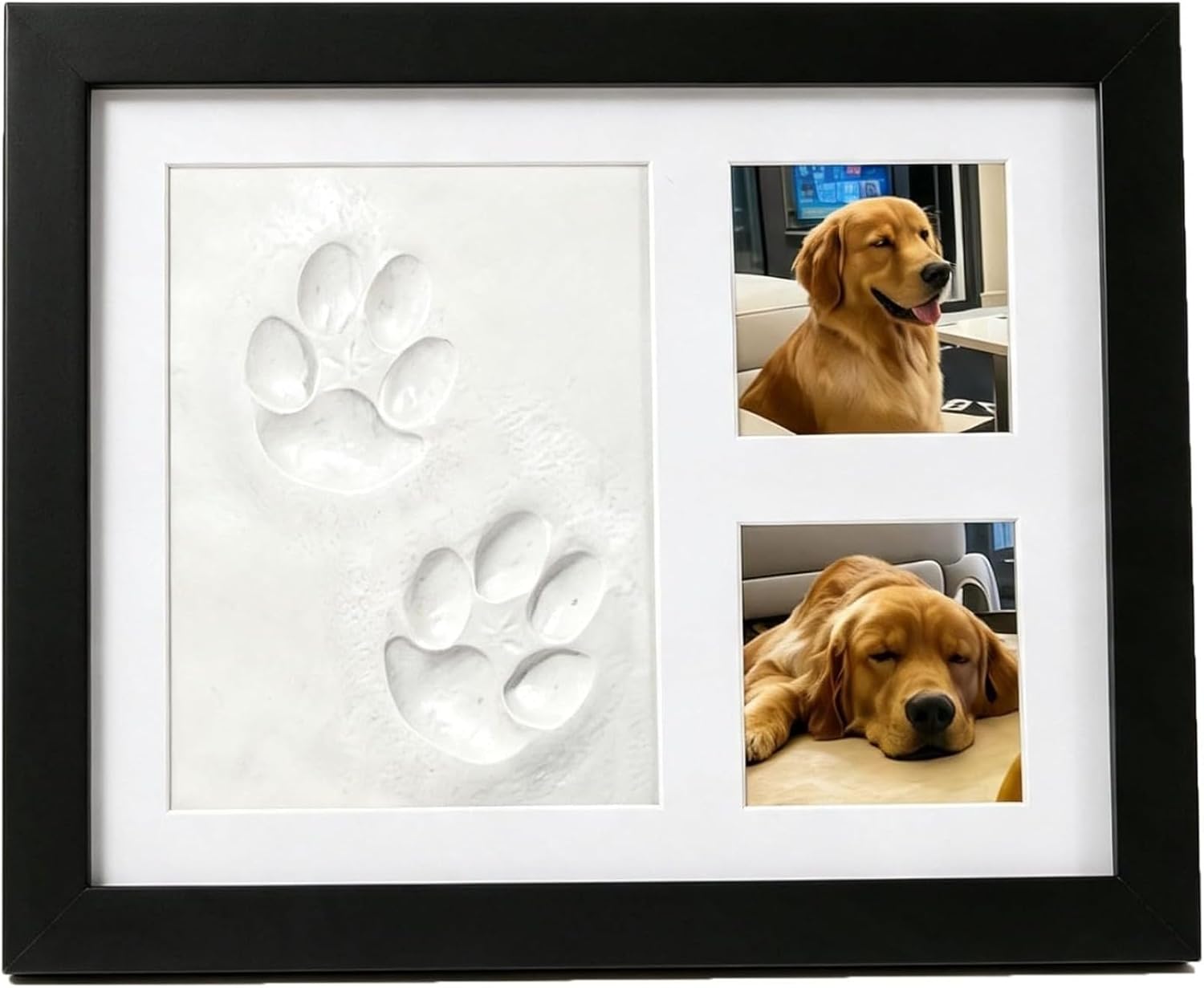 DIY Haustier-Pfotenabdruck-Ged – Photographic Memory Bewertung und Preis